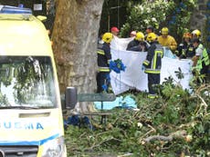 Falling tree kills 12 people at Madeira religious festival