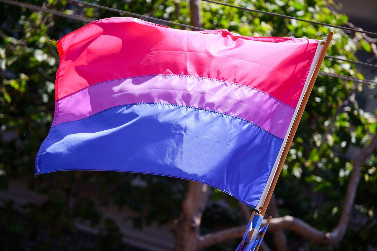 The bisexual pride flag was designed in 1998