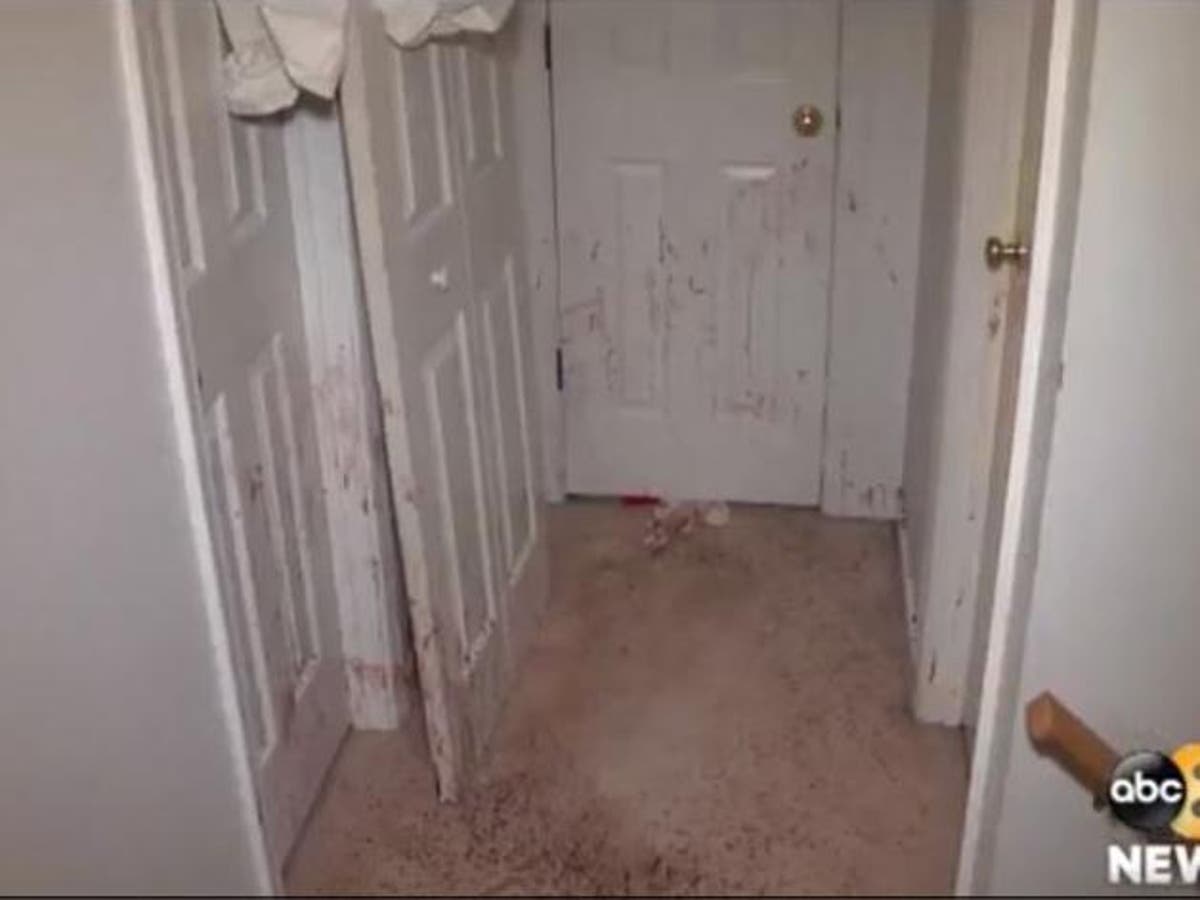 Family return home to find walls covered in blood after their German