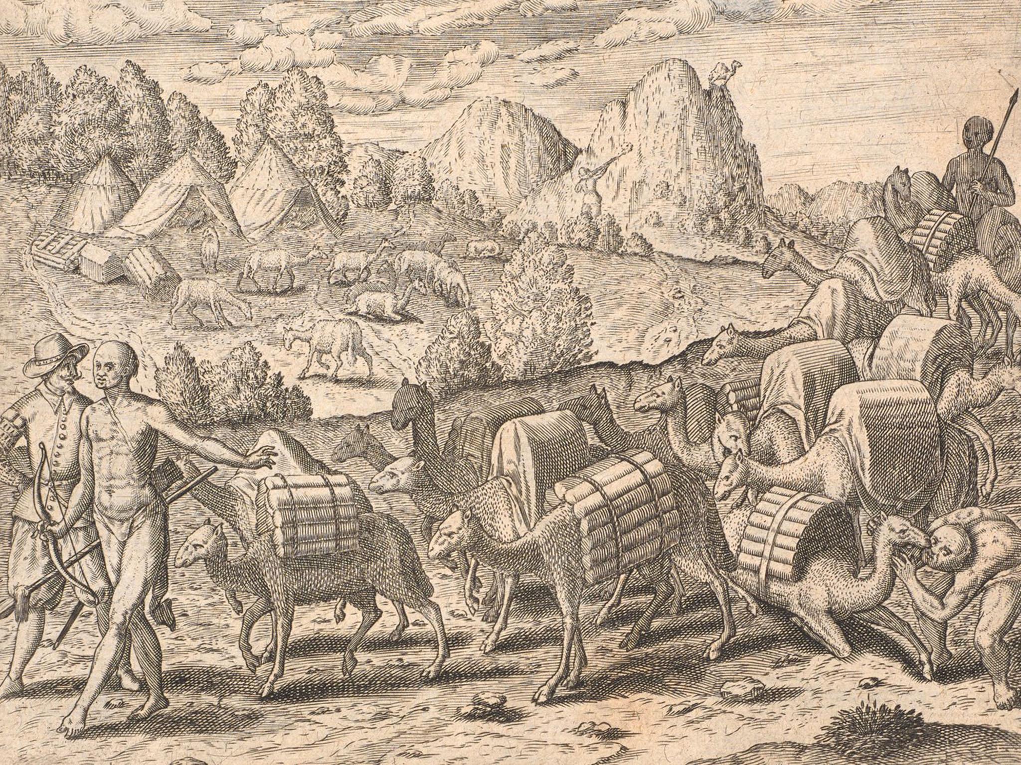 Llamas transporting bars of silver across the Andes, by Theodore de Bry (Frankfurt, 1602) (Author provided)