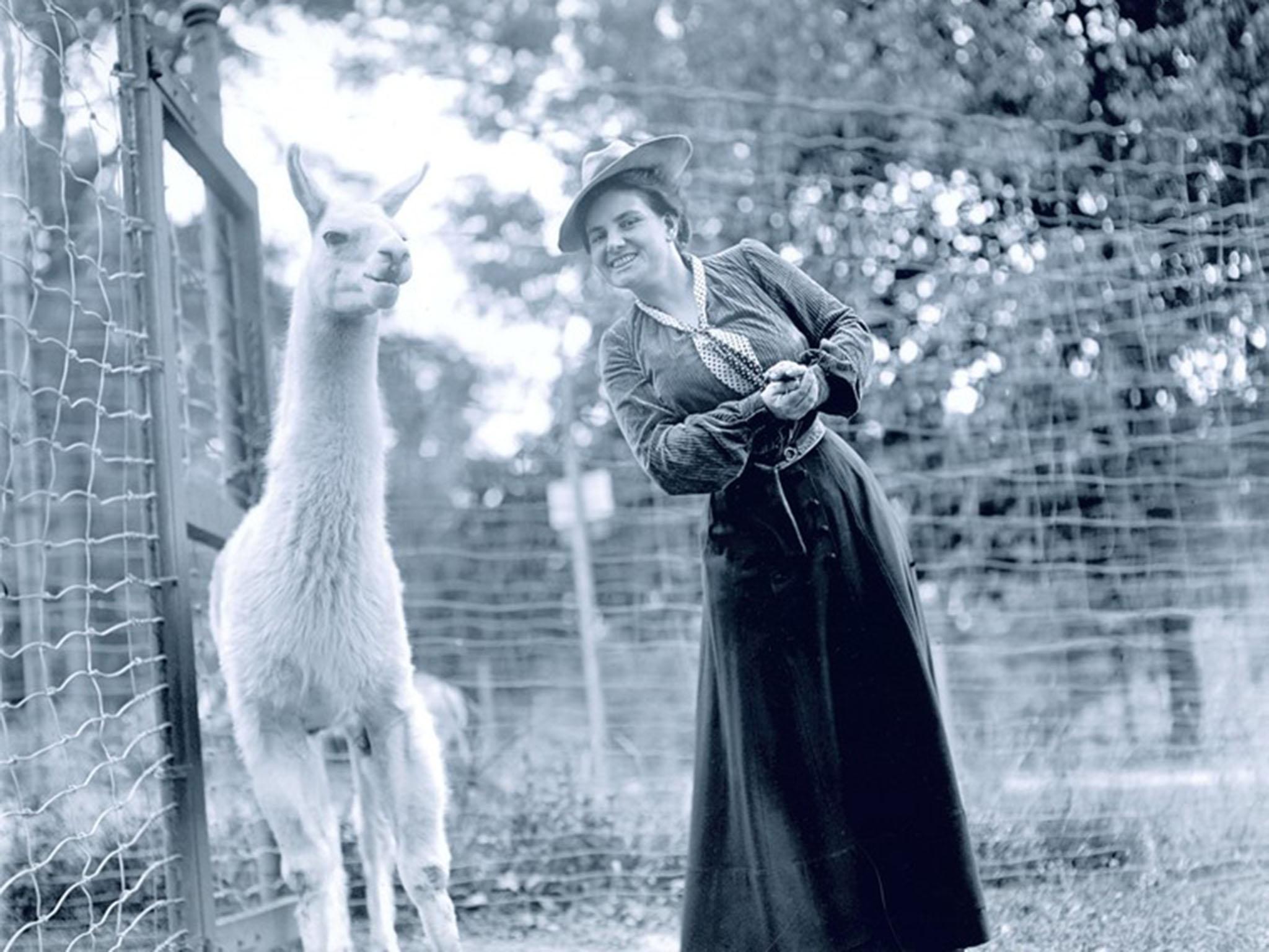 Harriet Franklin poses with a llama at the zoo, 1912 (Author provided)