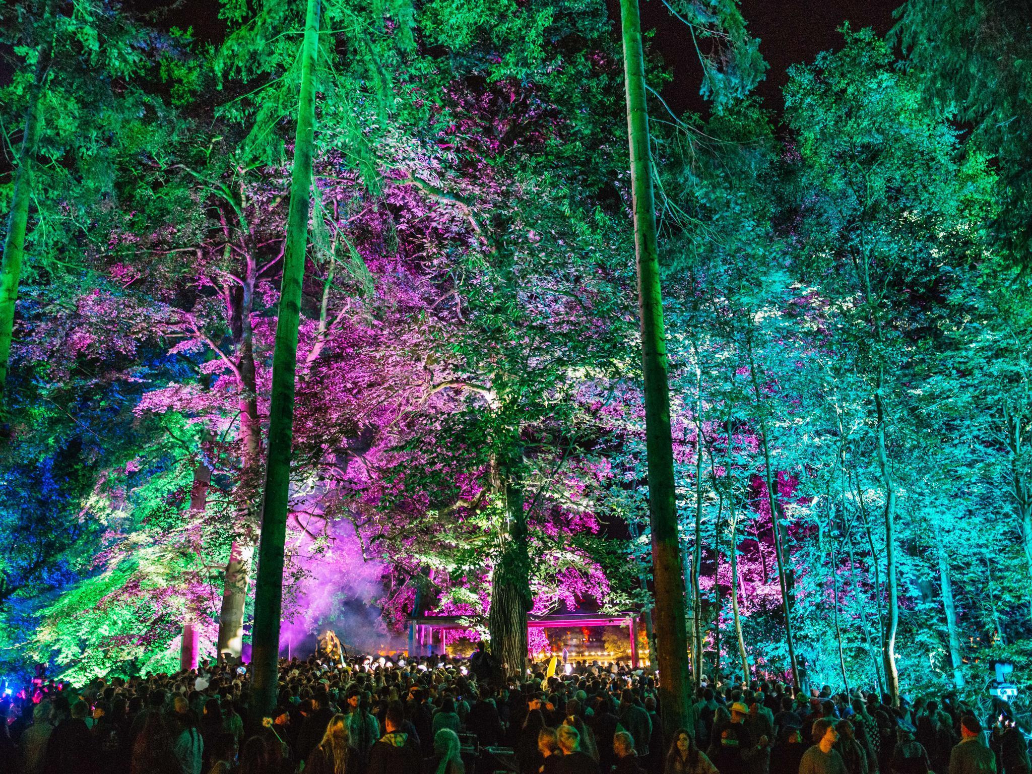 The illuminated trees above the lakeside Pavilion stage at Houghton