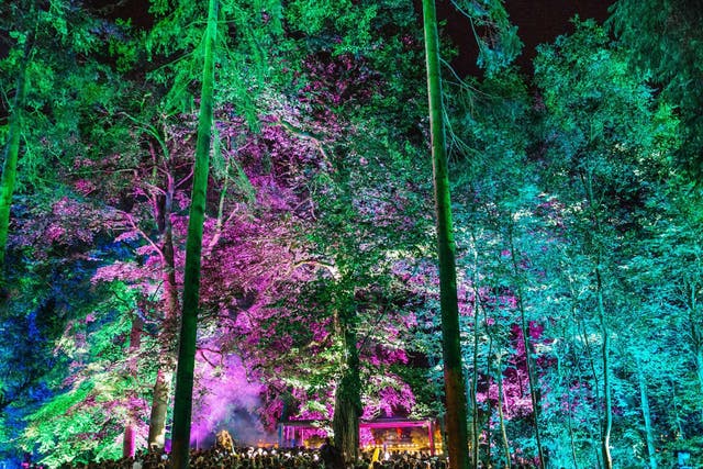The illuminated trees above the lakeside Pavilion stage at Houghton