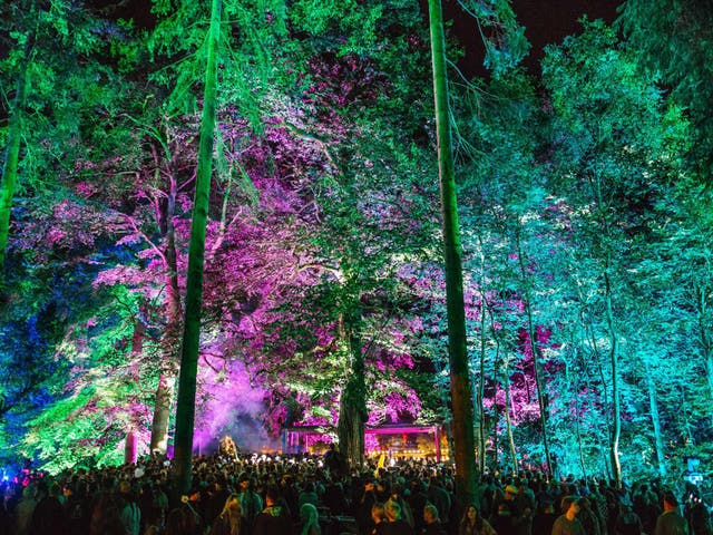 The illuminated trees above the lakeside Pavilion stage at Houghton