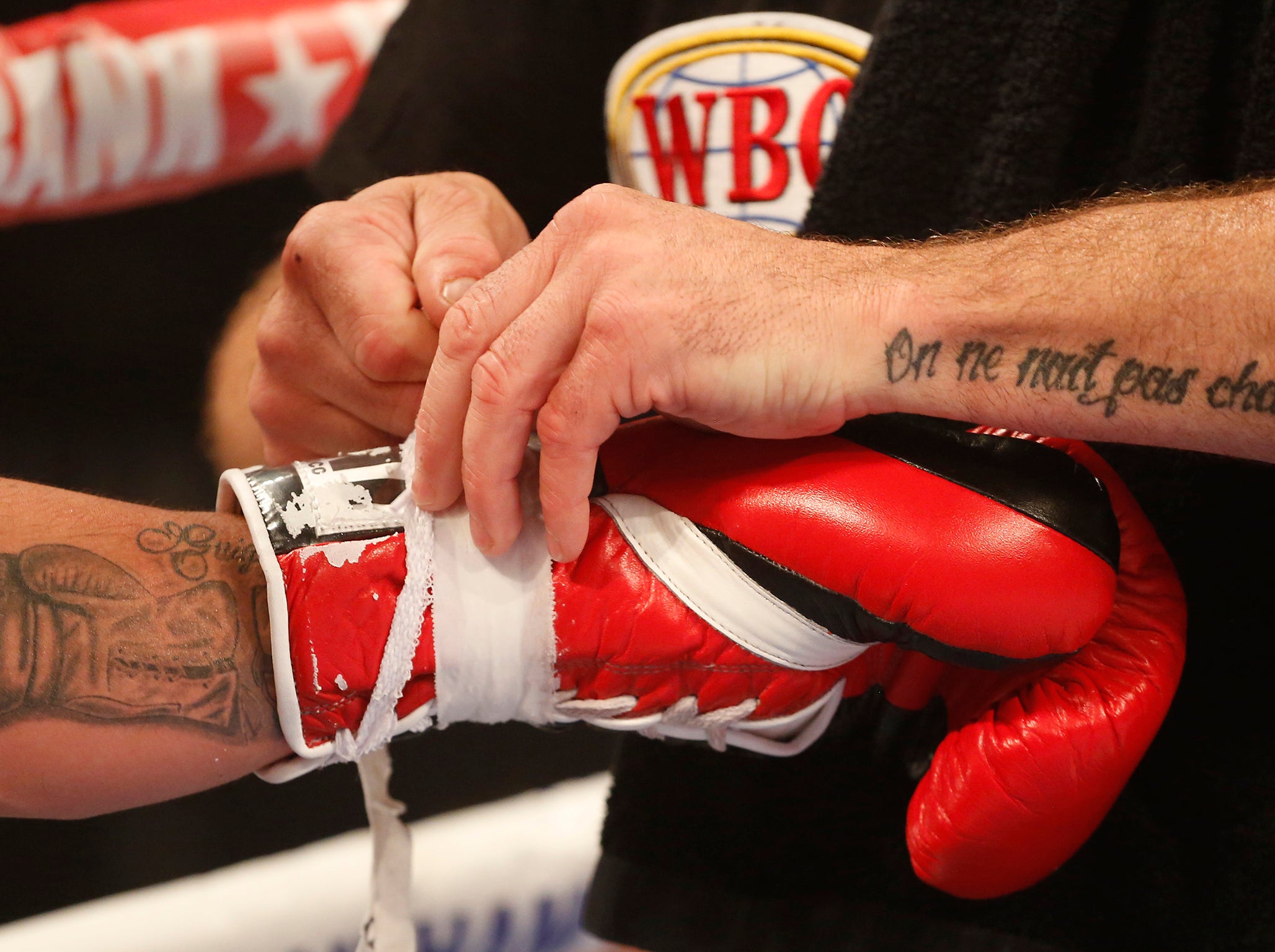 Lighter 8oz gloves are to be used for the fight