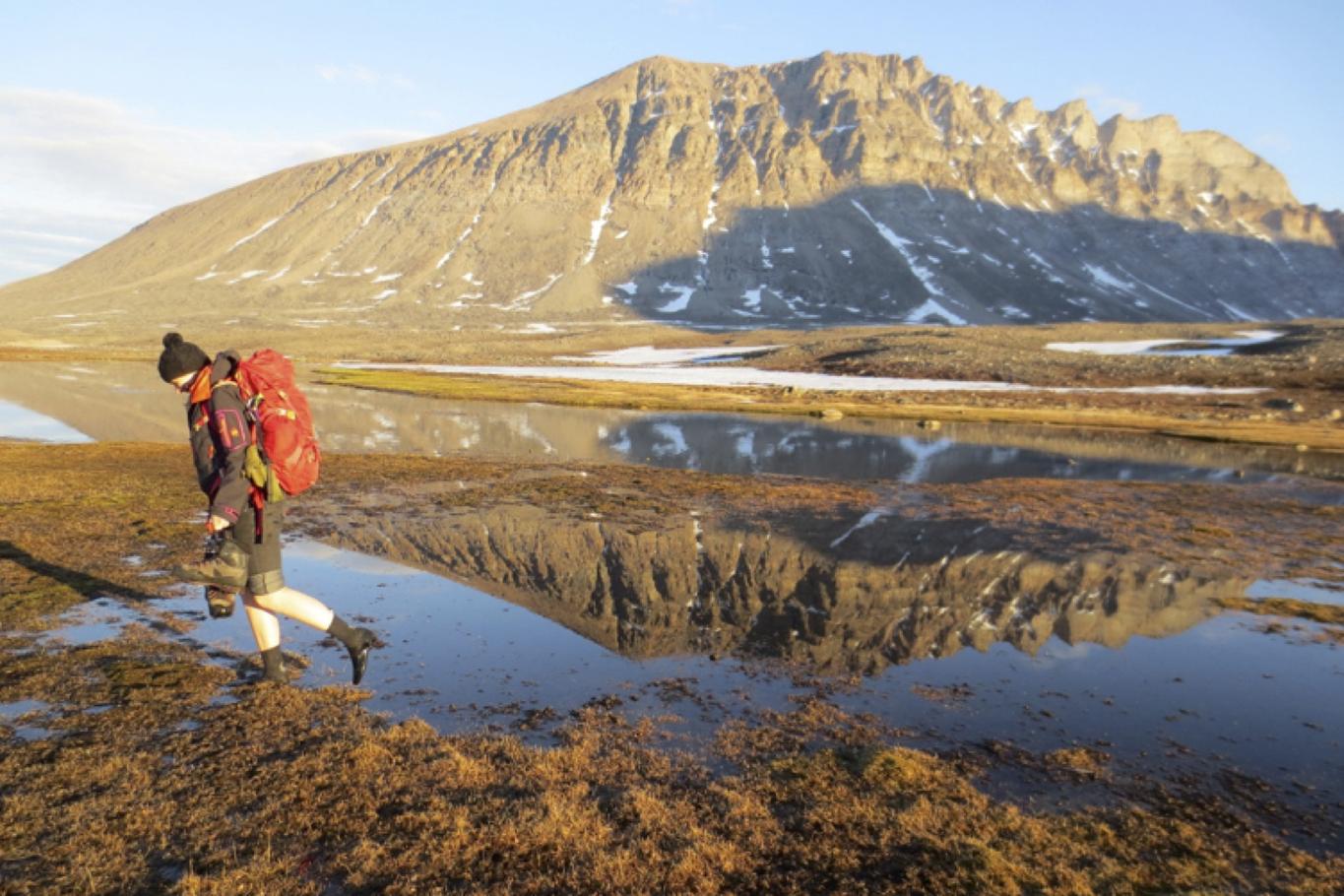 &#13;
The boggy regions are home to underlying permafrost&#13;