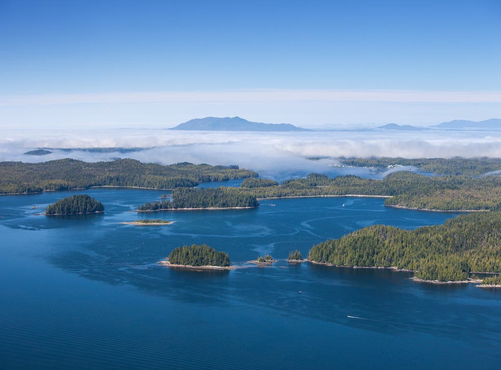 Haida Gwaii is working to restore its natural habitat