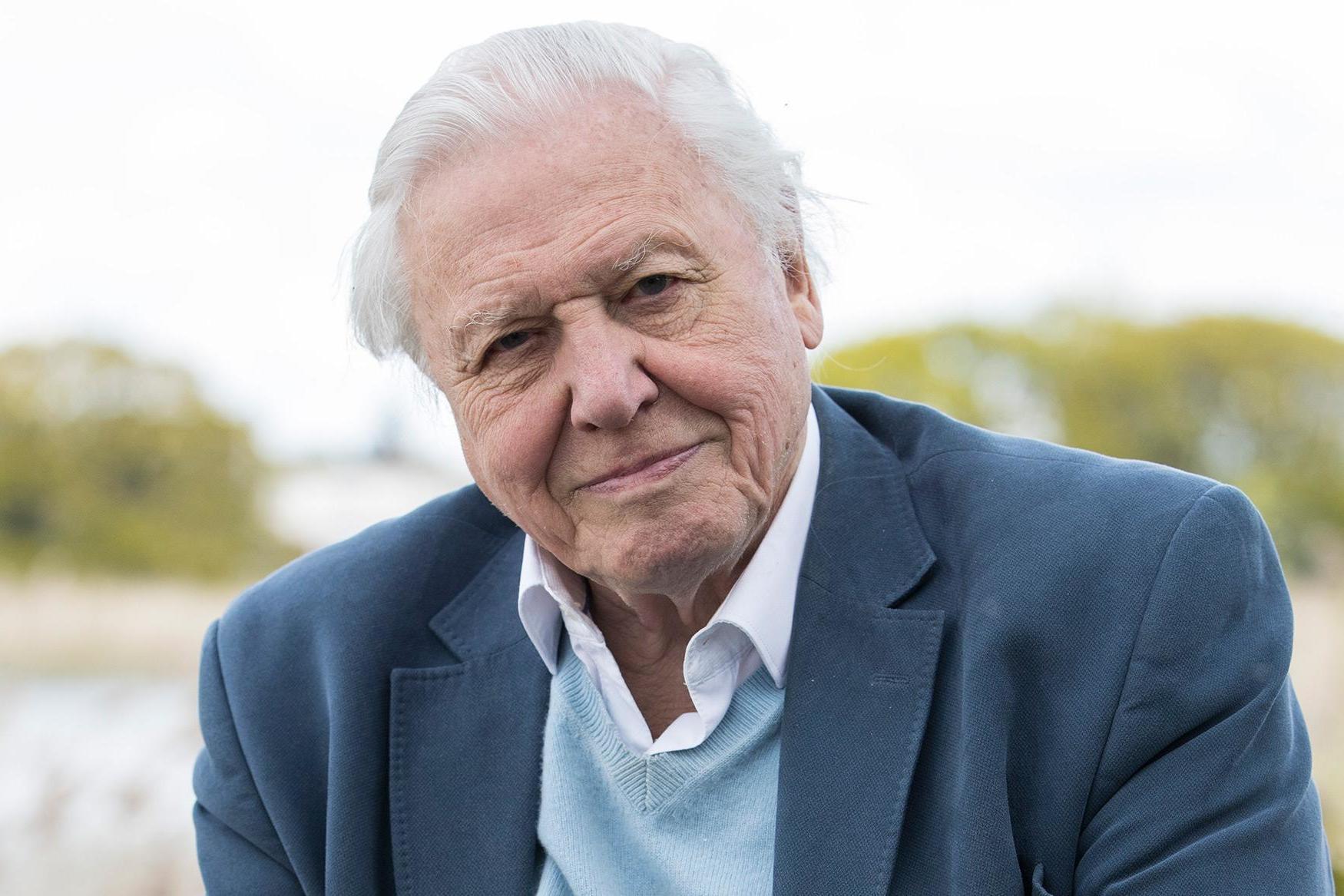 Samsclub Credit Login >> Watching David Attenborough documentaries just as good for ... Samsclub Credit Login >> Watching David Attenborough documentaries just as good for ...