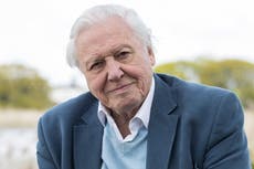 Watching Attenborough docs as good for you as mindfulness, study finds