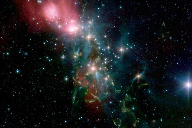 An image shows stars beginning their lives in the nebula NGC 1333