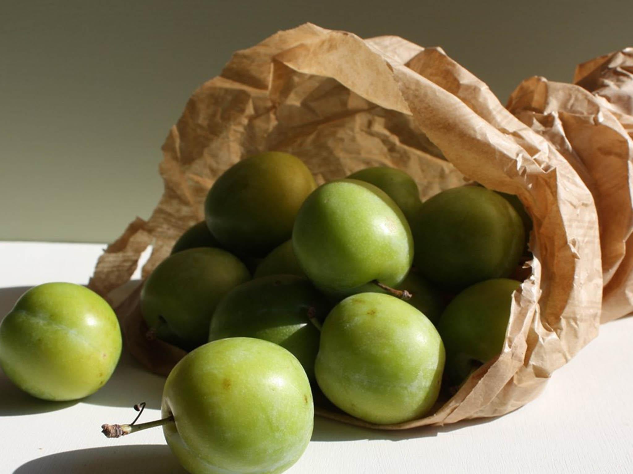 Plum perfect: The sweet fruit was first imported to Britain in 1724, but is now firmly embedded in our national cuisine