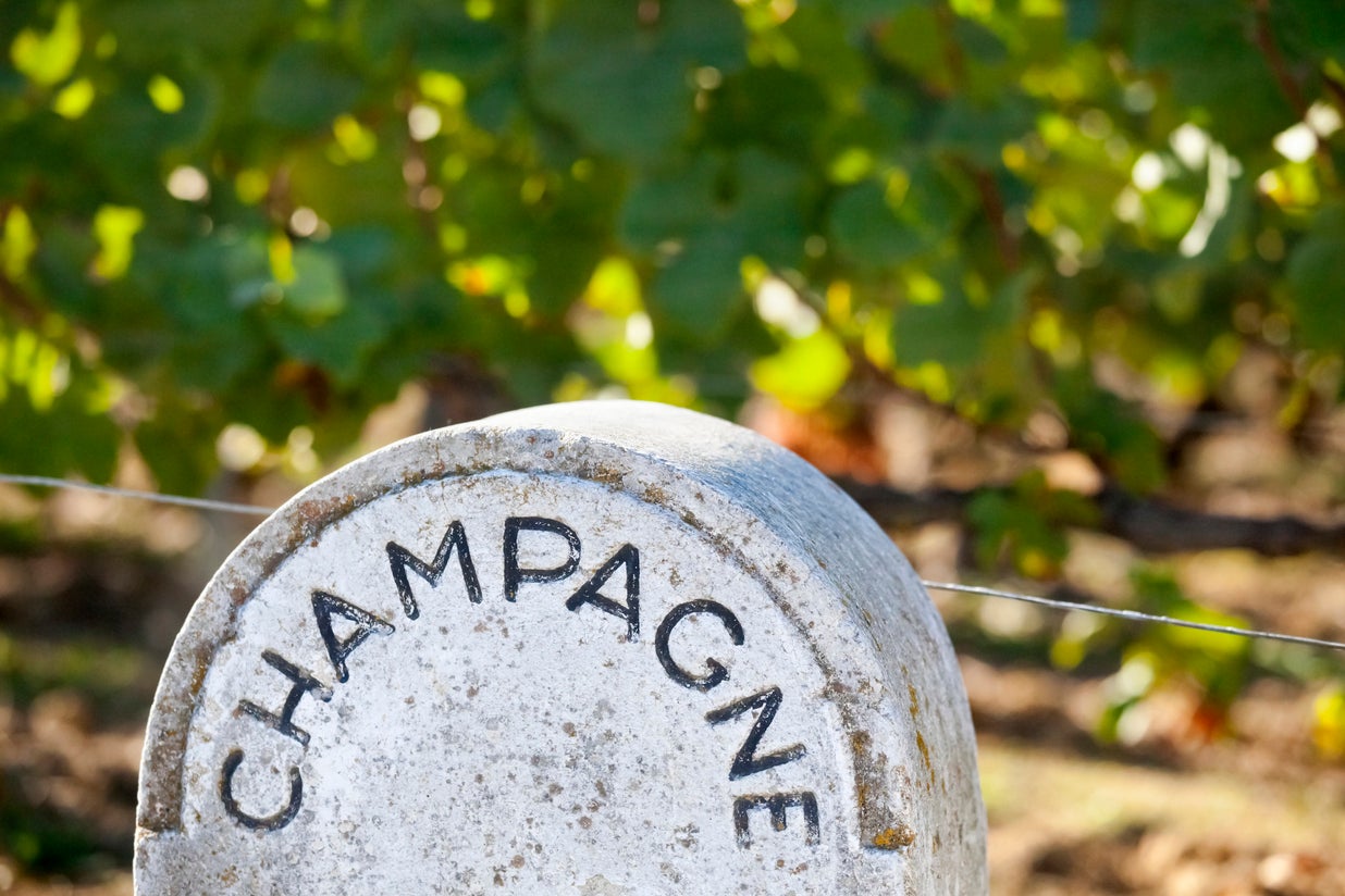 Pop open some bubbly with a detour through the Champagne region (Getty/iStockphoto)