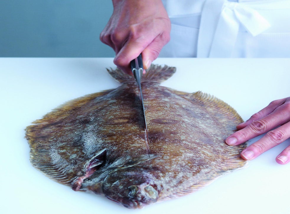 How to fillet a flat fish The Independent The Independent