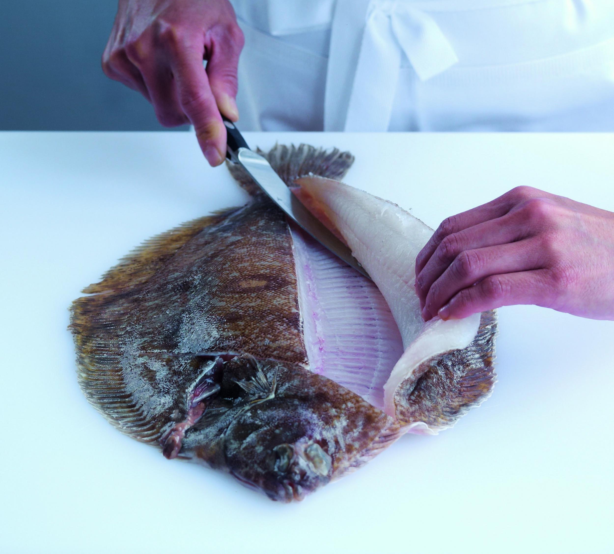 How to fillet a flat fish, The Independent