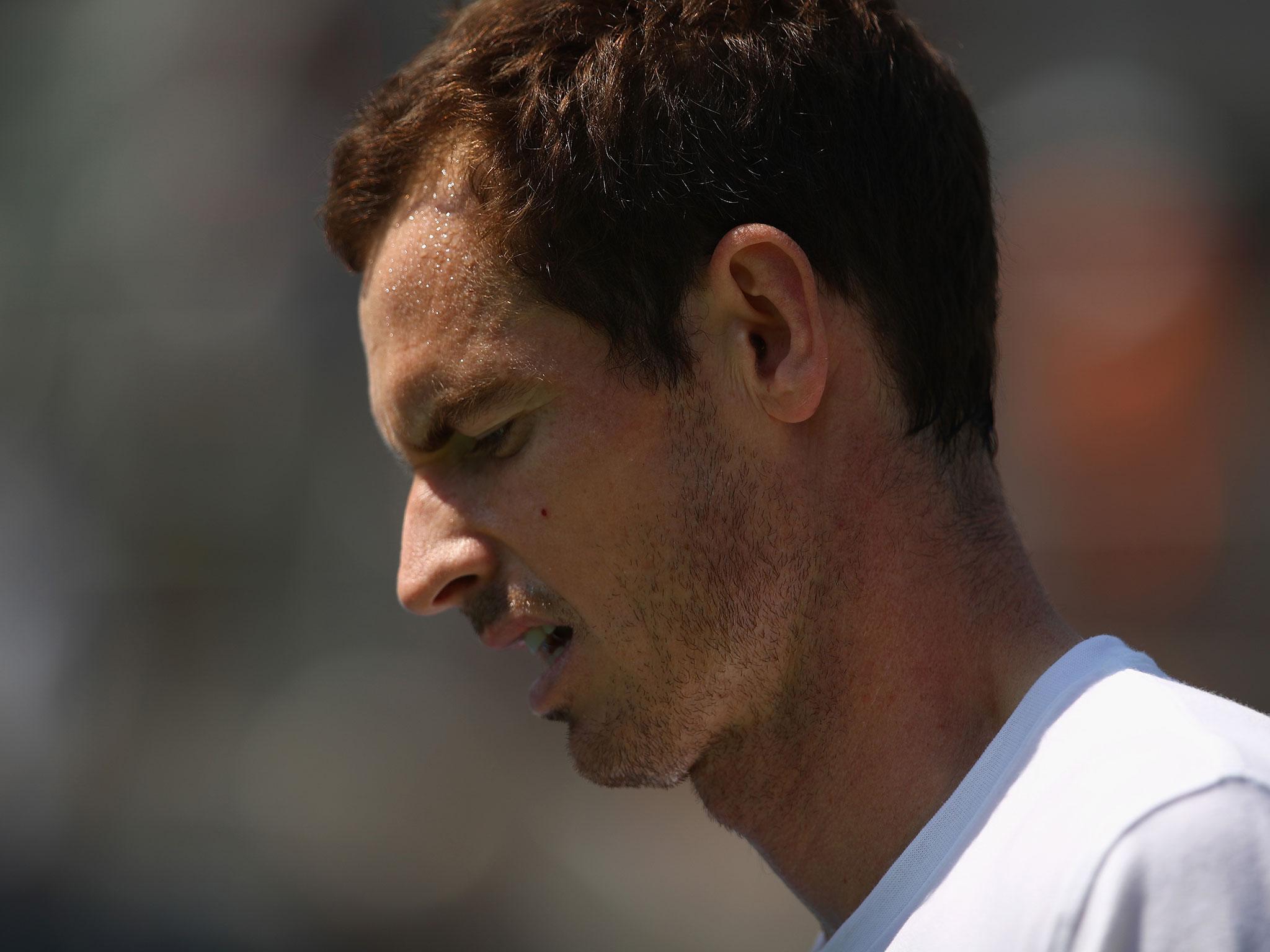 Andy Murray's 2017 season is likely over through injury