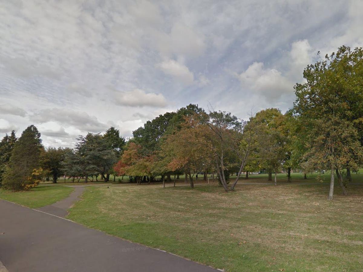 Schoolboy, 13, raped 'small and vulnerable' 12-year-old boy in park | The  Independent | The Independent