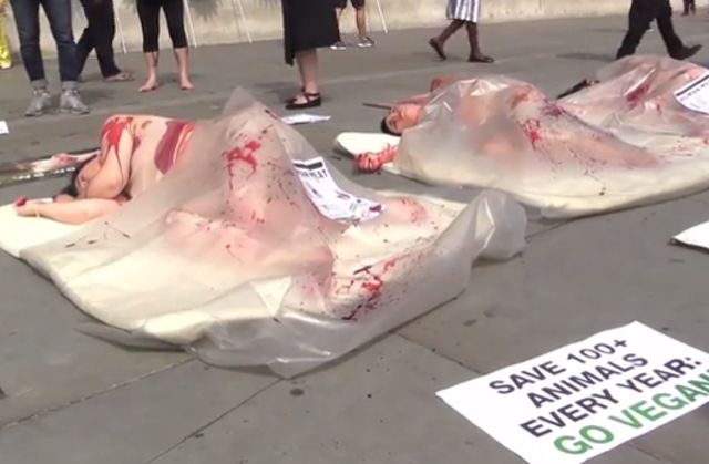 The women lay down on trays to pose as 'human meat'