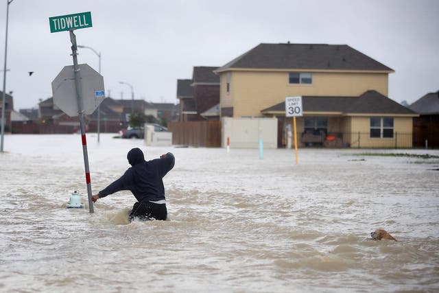 A person walks through a flooded street with a dog after the area was inundated with flooding from Hurricane Harvey in Houston, Texas