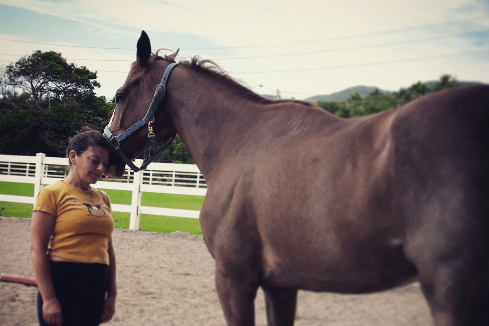 Xenia builds up a level of trust – eventually – with her horse Razzmo