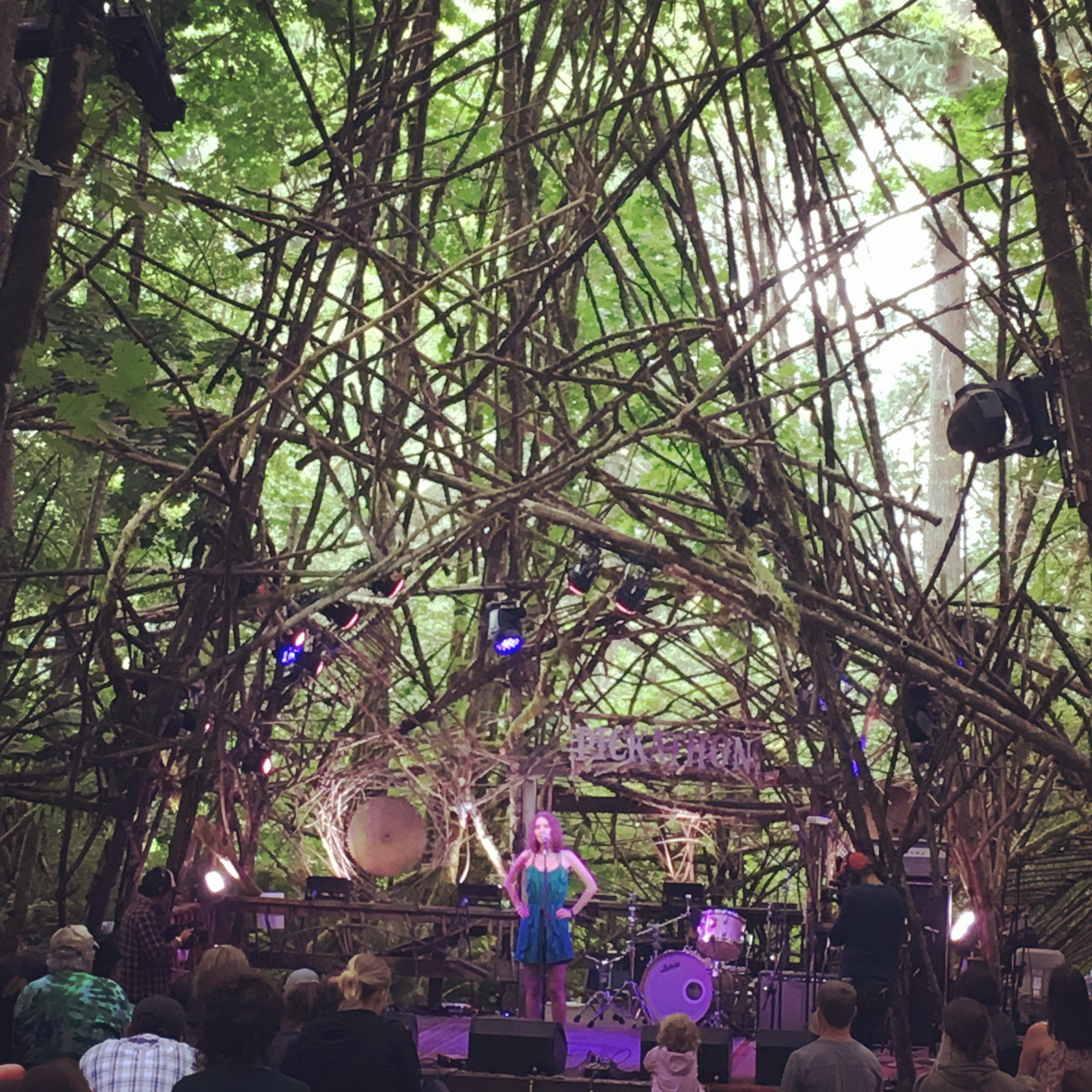 The magical Wood Stage, constructed from sticks