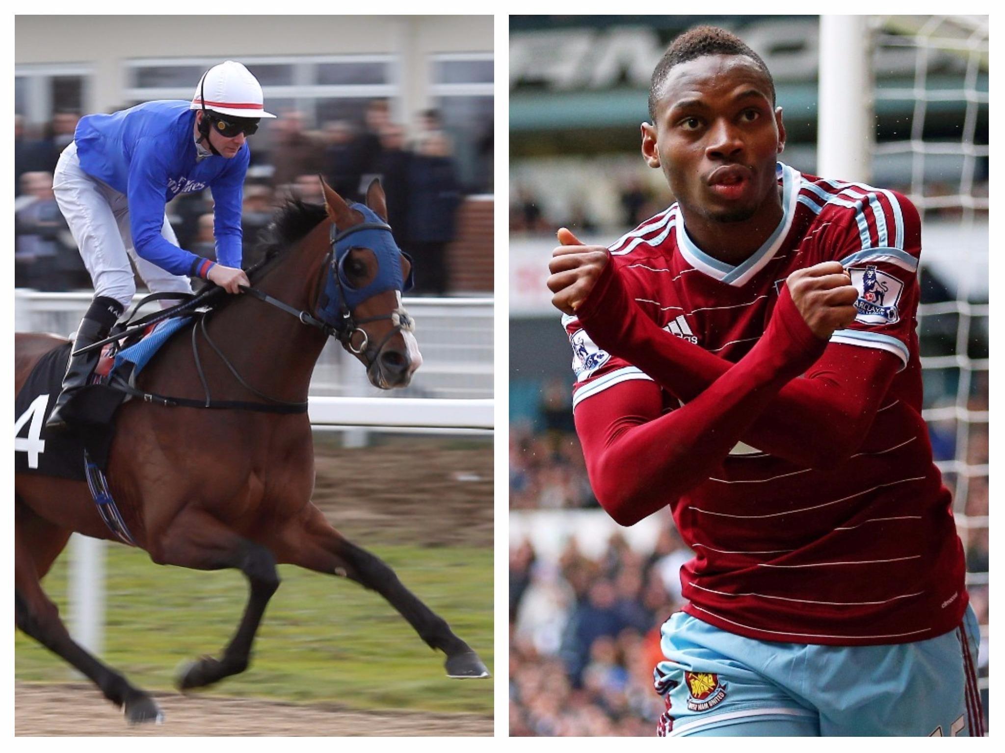 Diafra Sakho's agent watched his horse 'Siege of Boston' (not pictured) win in a photo finish