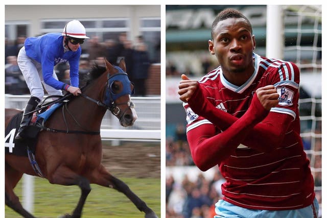 Diafra Sakho's agent watched his horse 'Siege of Boston' (not pictured) win in a photo finish