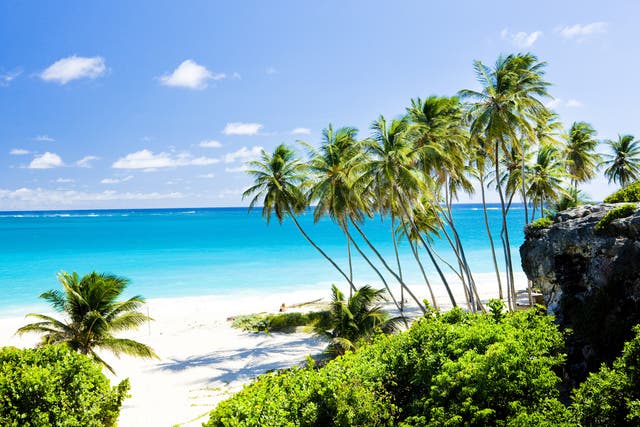 Escape the winter gloom with a pre-christmas Barbados break