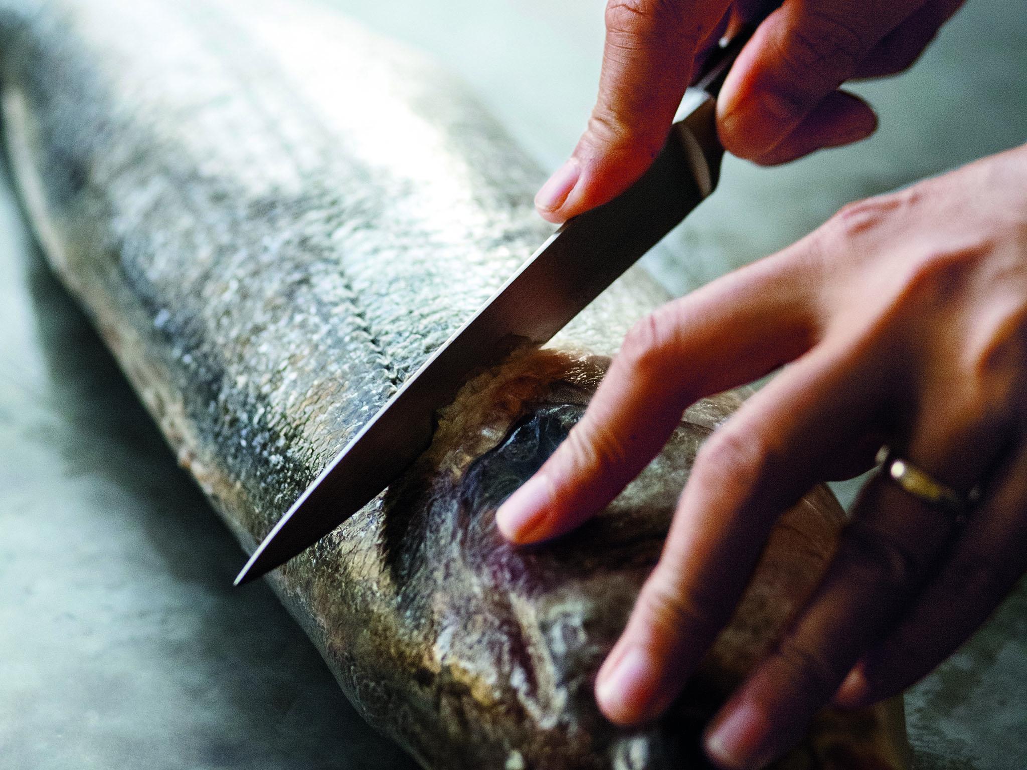 3. Use a sharp filleting knife to cut through the fish just below the gills until you reach the bone