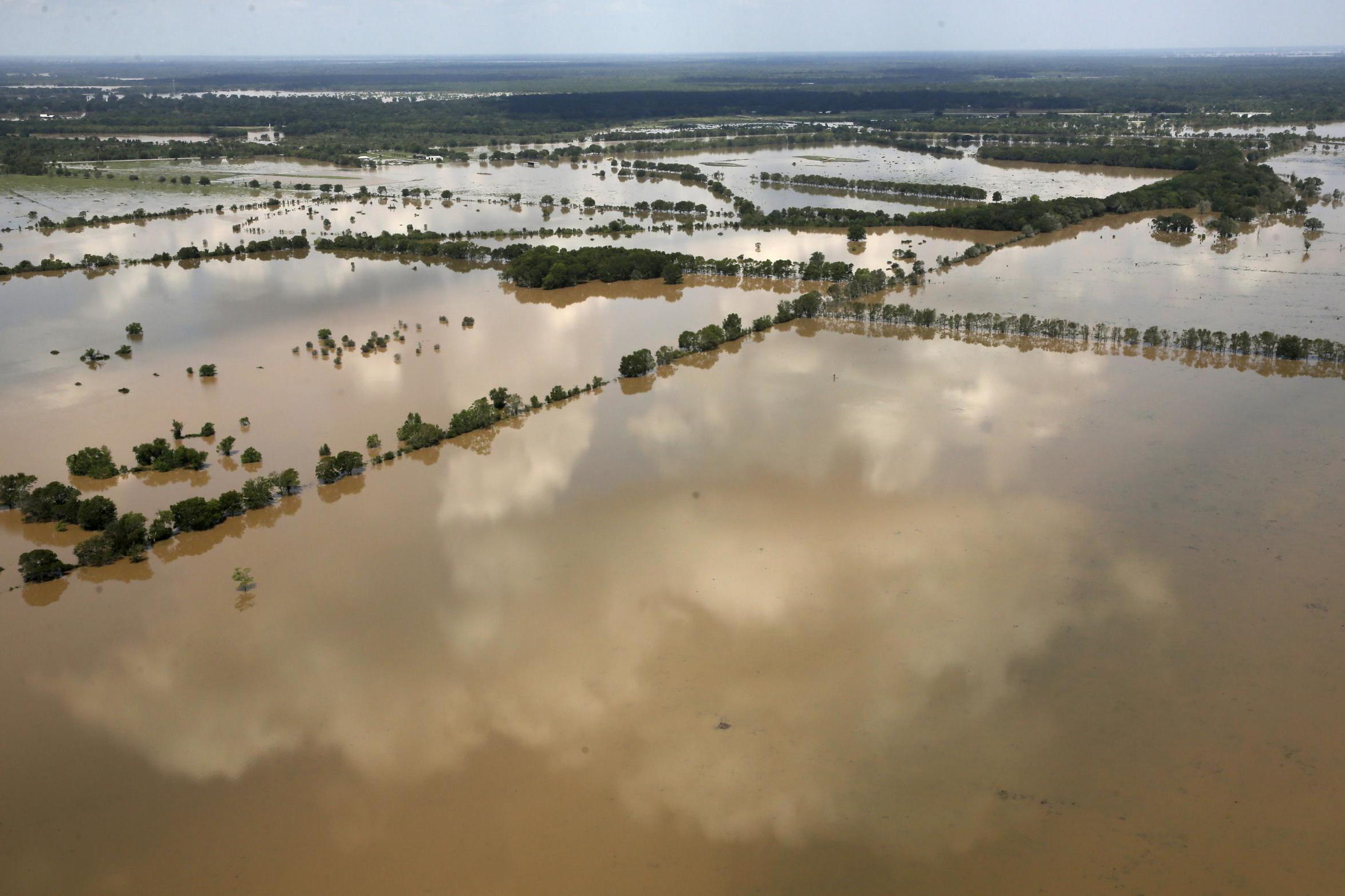 Fields submerged by water from the flooded Brazos River in the aftermath of Hurricane Harvey near Freeport, Texas