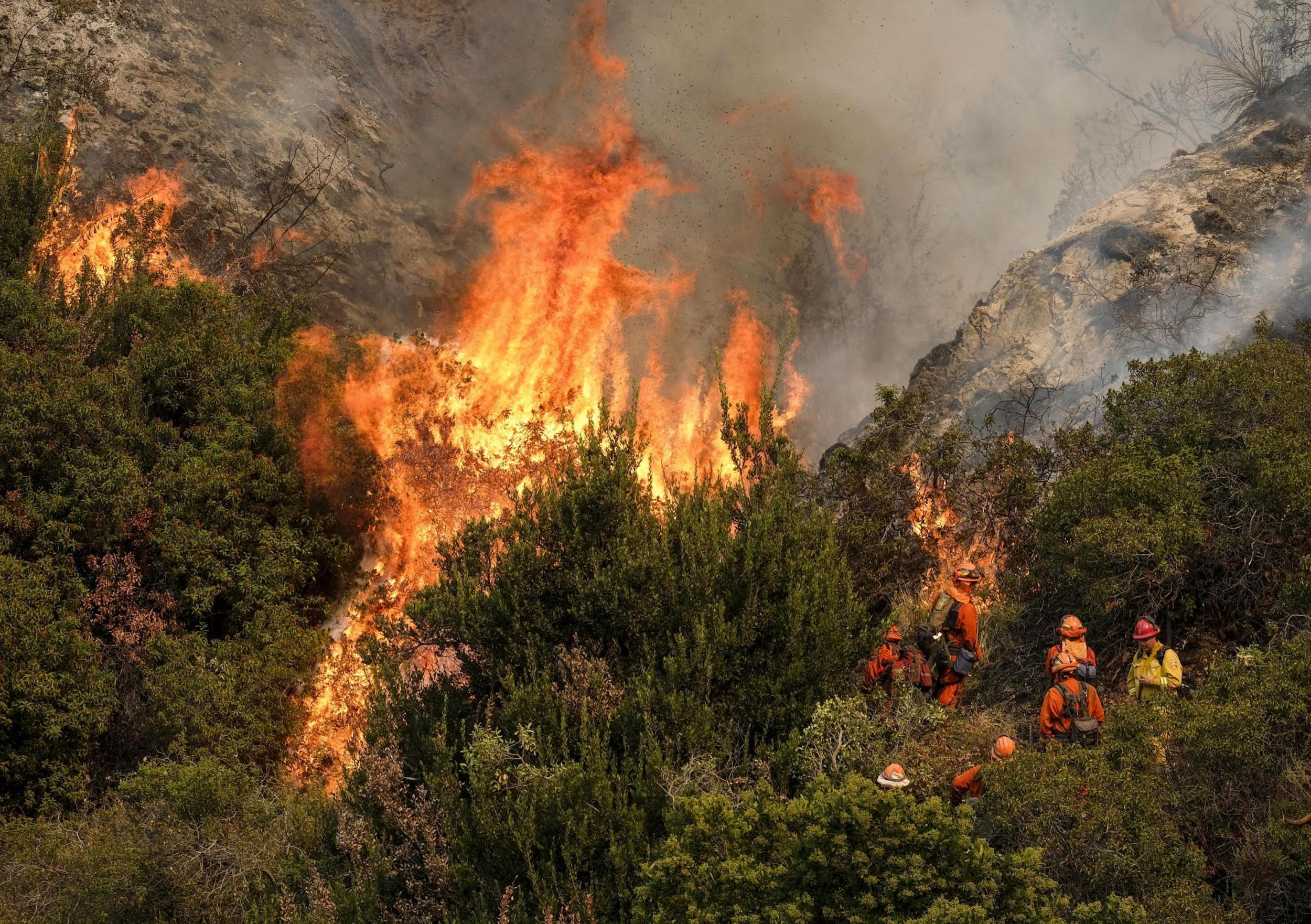 Firefighters battle a brushfire on the hillside in Burbank, Los Angeles County