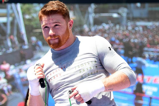Canelo has railed against suggestions Mayweather 'fought like a Mexican'