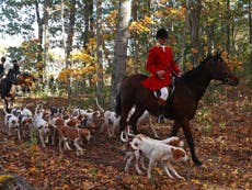 85% of public are opposed to repealing fox hunting ban, poll says