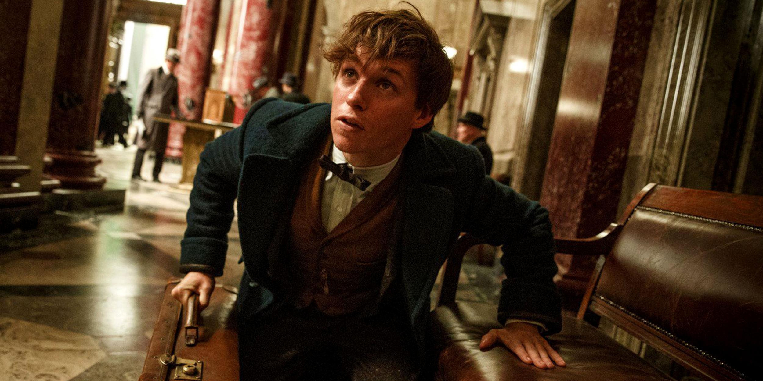 This fact about Harry Potter and Newt Scamander will blow the minds of