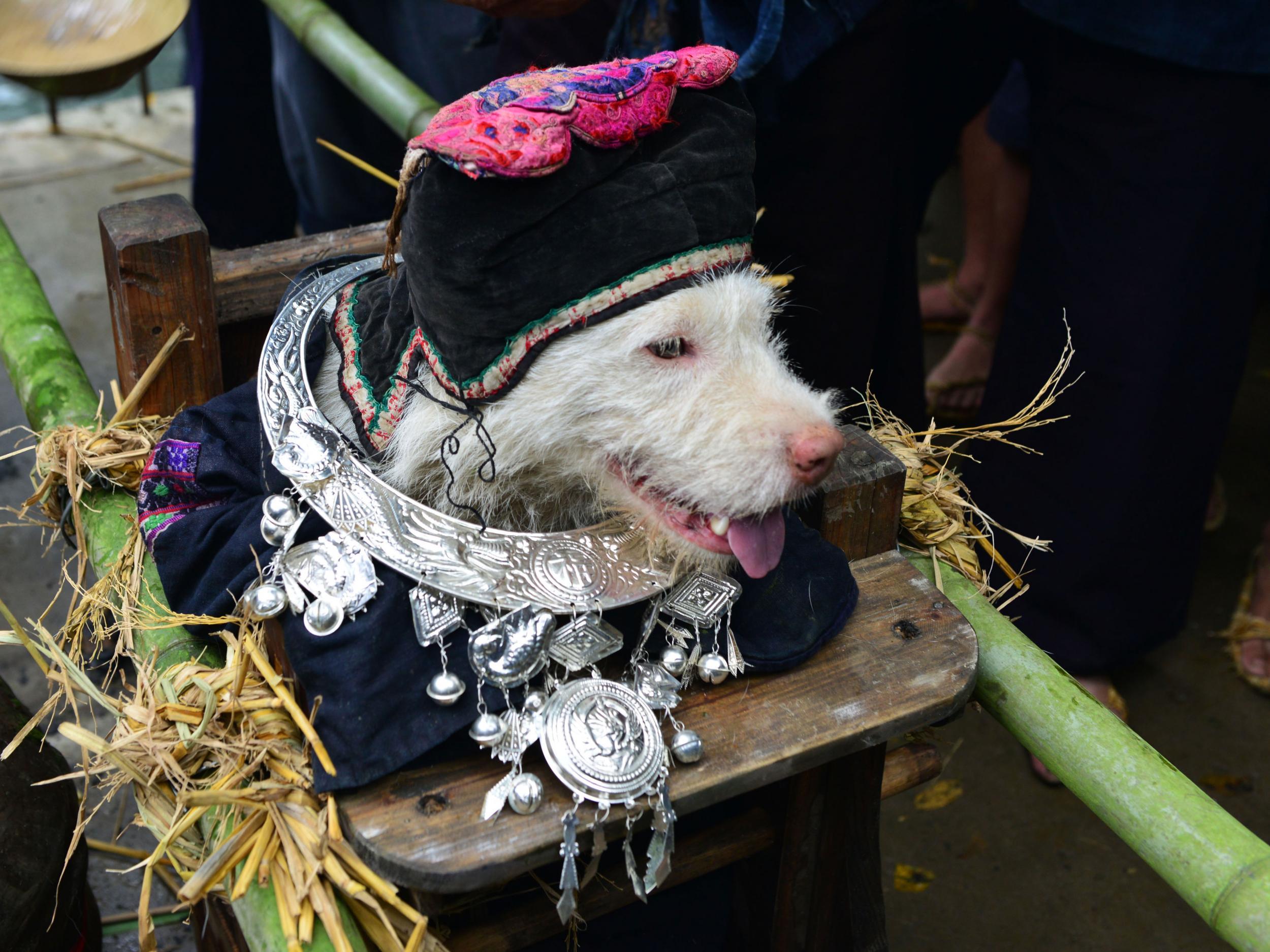 The celebrations include dressing a pooch up in human clothing, and placing it on a sedan chair