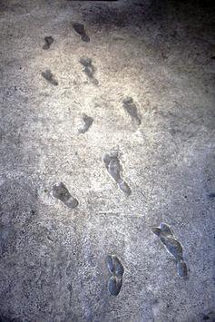 Laetoli footprints, the earliest known made by humans