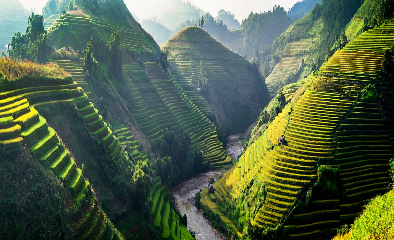 Rice field on terraces at MuCangChai, Vietnam