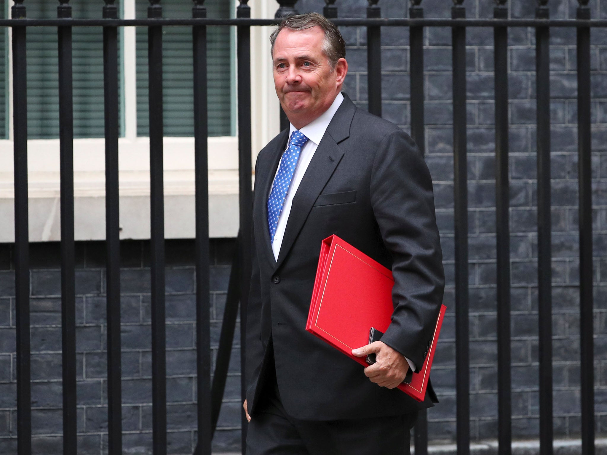 The EU (Withdrawal) Bill will allow deregulation similar to the US model – something that Liam Fox is in favour of