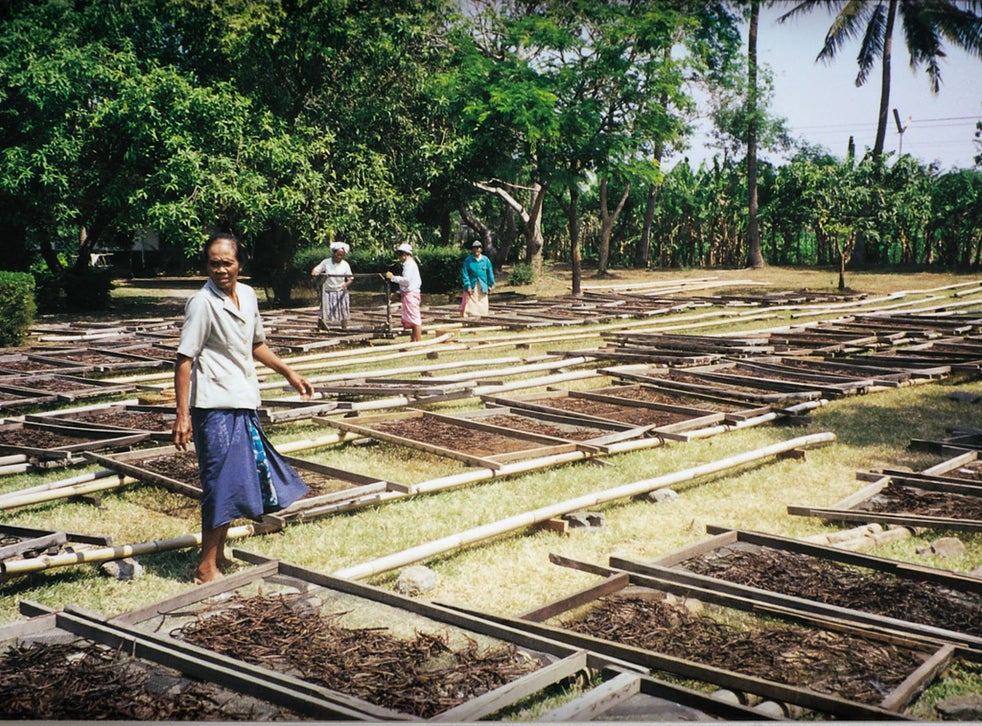 Why vanilla isn't a beige flavour The Independent The Independent