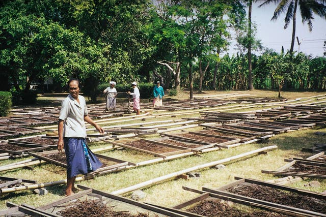 Madagascar is the world’s biggest vanilla producer with 85 per cent of the market