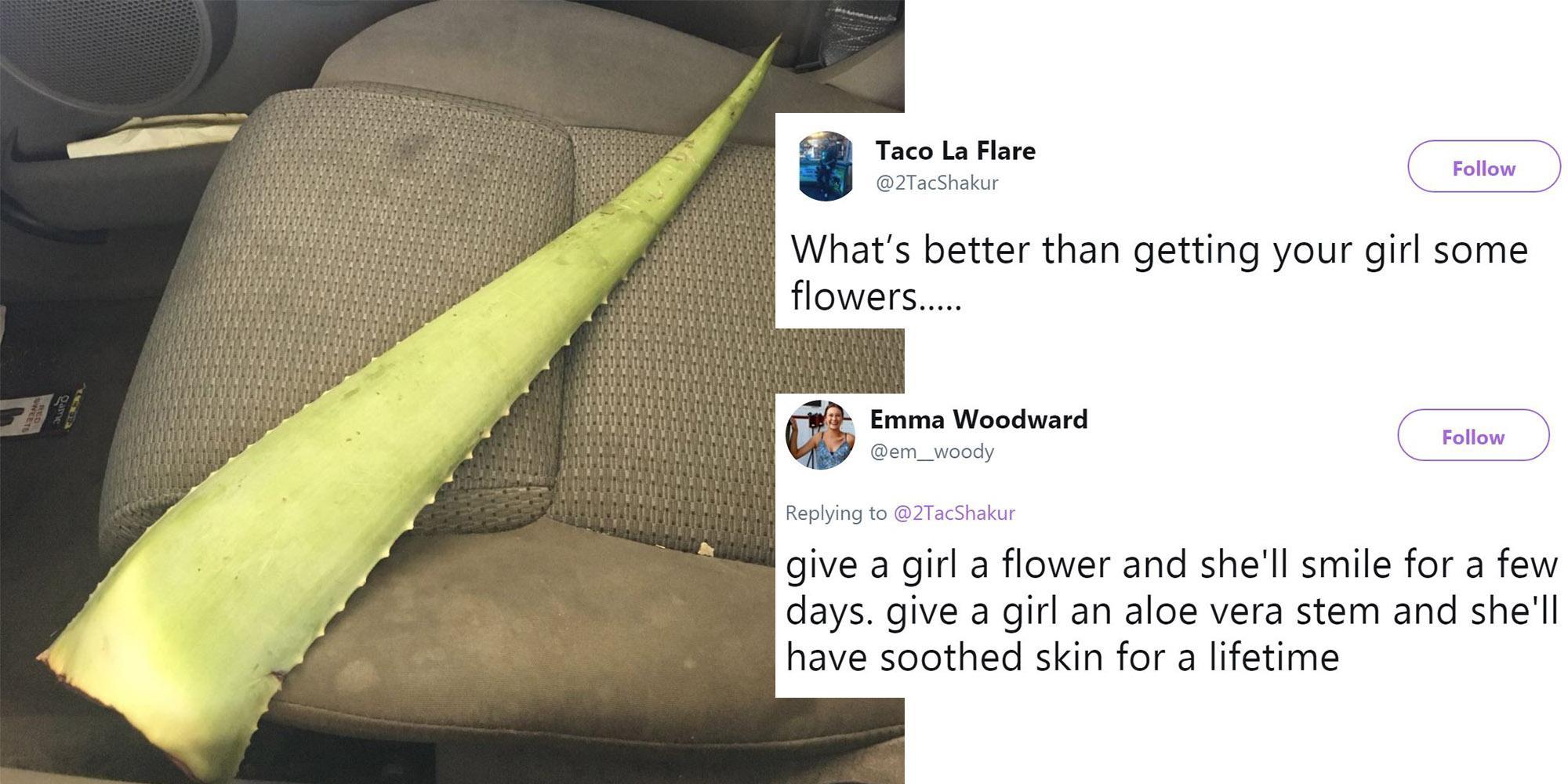 A Man Bought His Girlfriend An Aloe Leaf Instead Of Flowers And Its Genius Indy100 Indy100