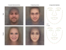Artificial intelligence can identify 'gay faces' from a picture
