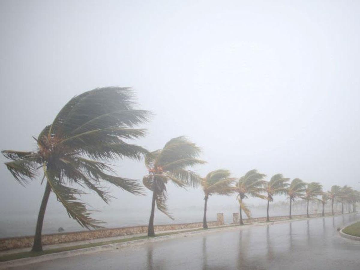 Irma tears into Cuba as 160mph winds send millions fleeing hurricane ...