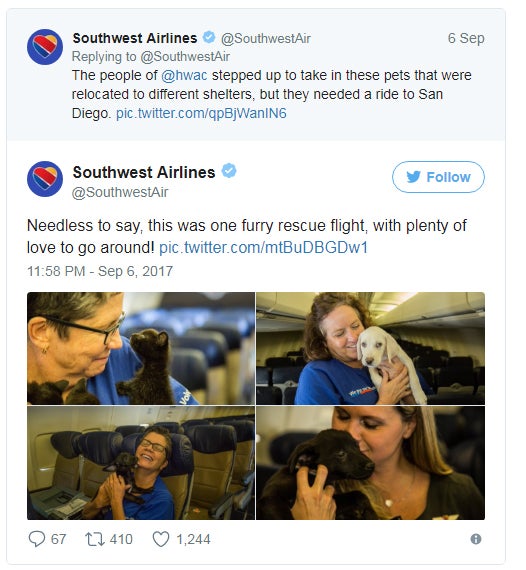 Southwest Airlines rescued 60 abandoned animals from Hurricane Harvey, Houston