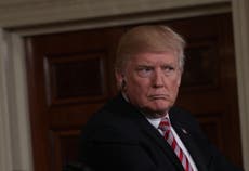 Trump panel said to be pushing for 'mini nukes' 