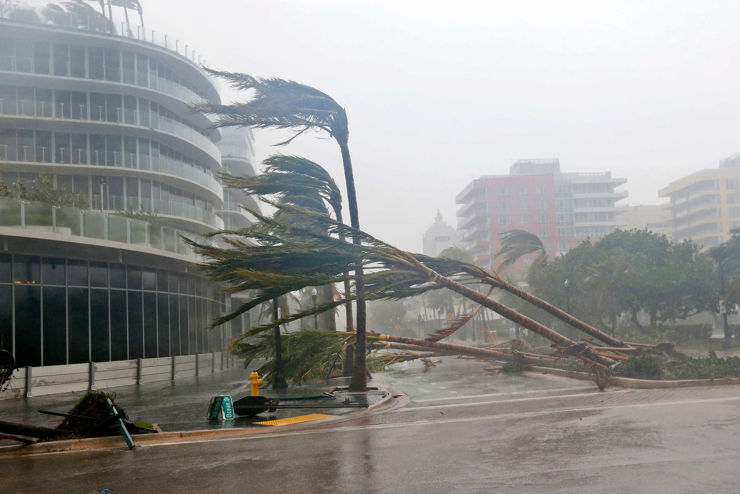 Hurricane Irma battered Miami Beach in 2017