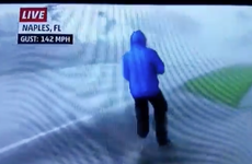 Reporter broadcasts live as mini-tornado tears down street behind him