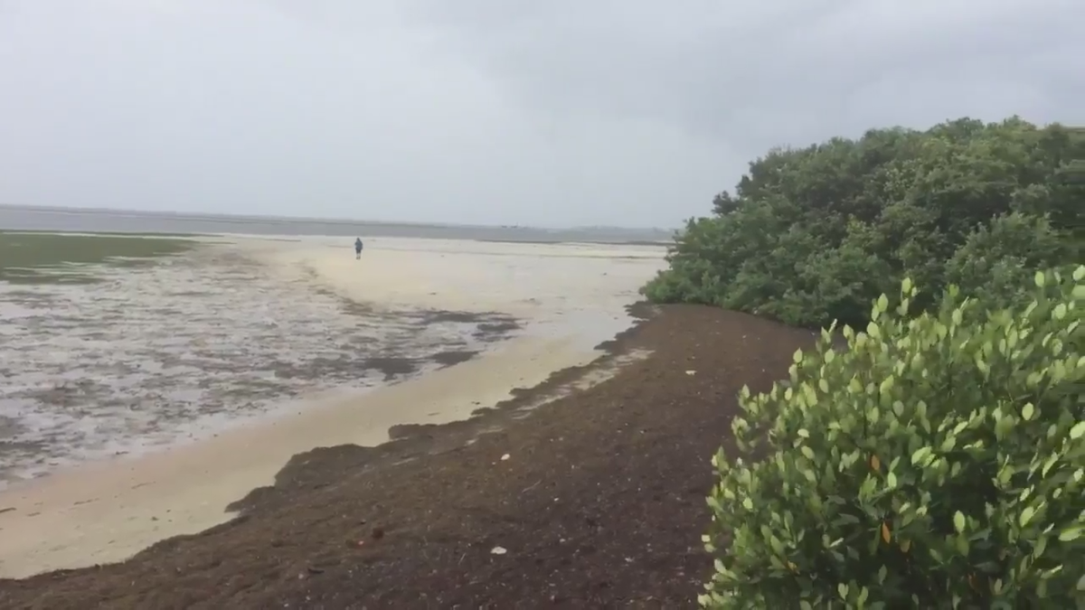 irma-hurricane-sucks-sea-from-florida-beach-in-second-instance-of-rare