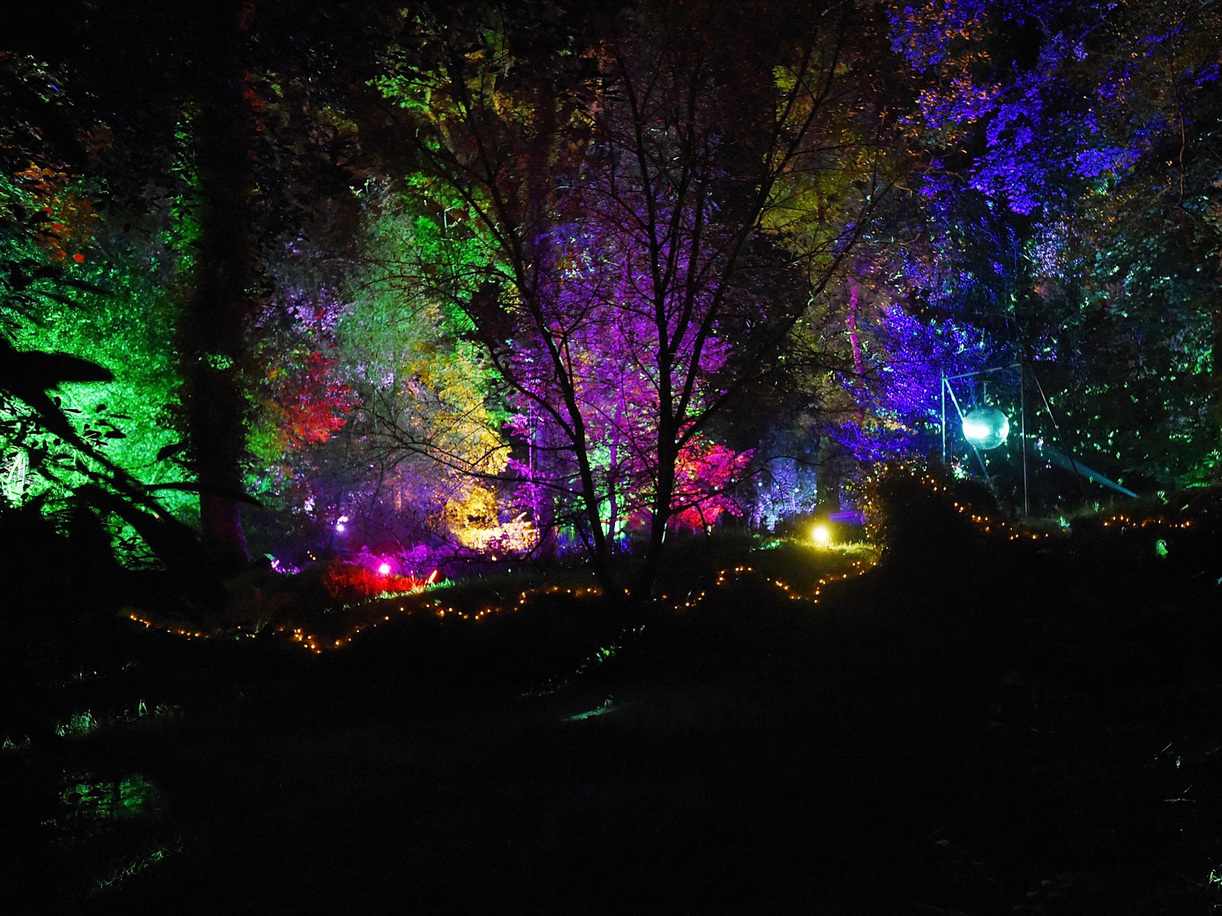 The woman’s body was found on the edge of the festival site at Lulworth Castle