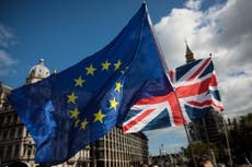 UK human rights ‘put at risk’ by Brexit bill, warns senior academic 