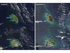 Irma destroyed so many plants entire Caribbean islands changed colour